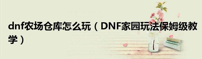 dnf农场仓库怎么玩（DNF家园玩法保姆级教学）