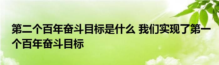 第二个百年奋斗目标是什么 我们实现了第一个百年奋斗目标