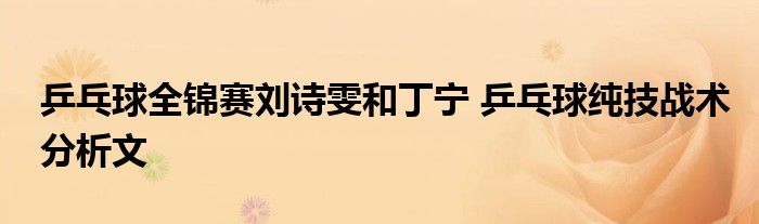 乒乓球全锦赛刘诗雯和丁宁 乒乓球纯技战术分析文