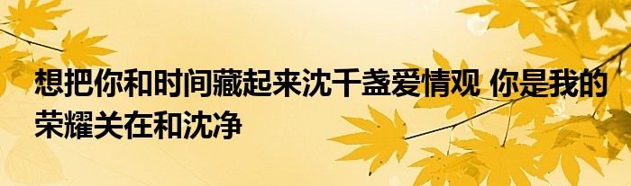 想把你和时间藏起来沈千盏爱情观 你是我的荣耀关在和沈净