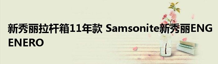 新秀丽拉杆箱11年款 Samsonite新秀丽ENGENERO