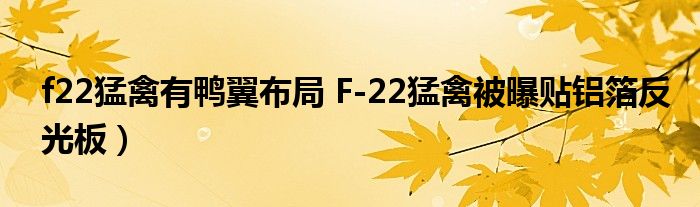 f22猛禽有鸭翼布局 F-22猛禽被曝贴铝箔反光板）