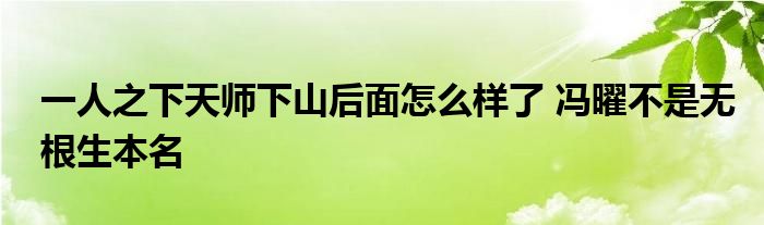 一人之下天师下山后面怎么样了 冯曜不是无根生本名