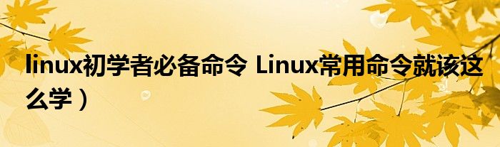 linux初学者必备命令 Linux常用命令就该这么学）