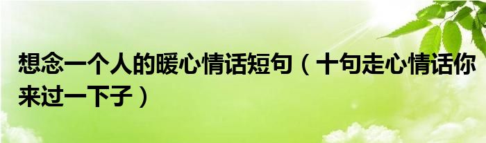 想念一个人的暖心情话短句（十句走心情话你来过一下子）