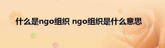 什么是ngo组织 ngo组织是什么意思