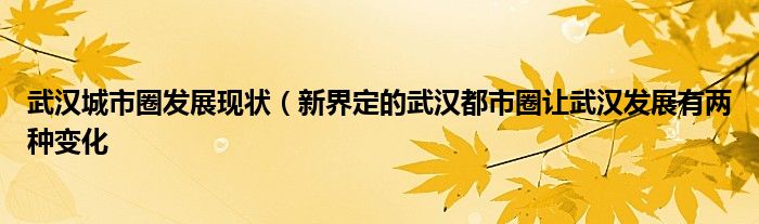 武汉城市圈发展现状（新界定的武汉都市圈让武汉发展有两种变化