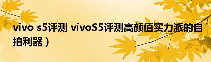 vivo s5评测 vivoS5评测高颜值实力派的自拍利器）