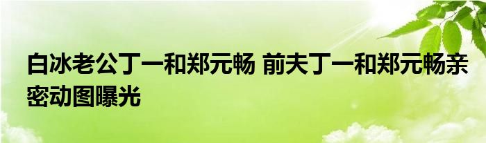 白冰老公丁一和郑元畅 前夫丁一和郑元畅亲密动图曝光