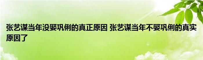 张艺谋当年没娶巩俐的真正原因 张艺谋当年不娶巩俐的真实原因了