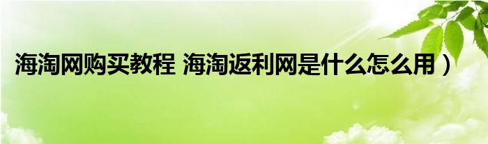 海淘网购买教程 海淘返利网是什么怎么用）