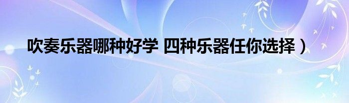 吹奏乐器哪种好学 四种乐器任你选择）