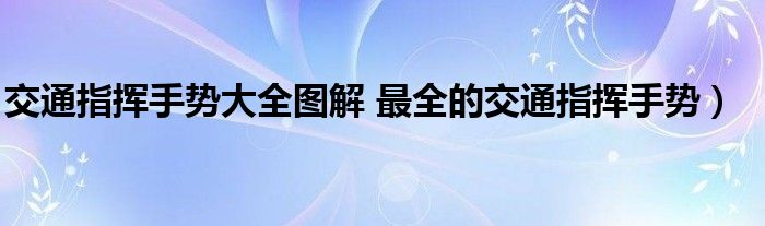 交通指挥手势大全图解 最全的交通指挥手势）