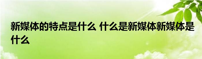 新媒体的特点是什么 什么是新媒体新媒体是什么