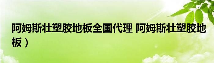 阿姆斯壮塑胶地板全国代理 阿姆斯壮塑胶地板）