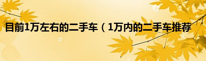 目前1万左右的二手车（1万内的二手车推荐