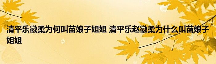 清平乐徽柔为何叫苗娘子姐姐 清平乐赵徽柔为什么叫苗娘子姐姐