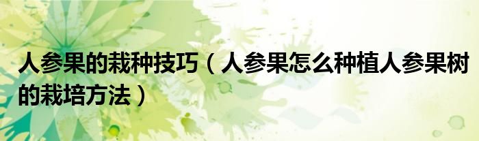 人参果的栽种技巧（人参果怎么种植人参果树的栽培方法）