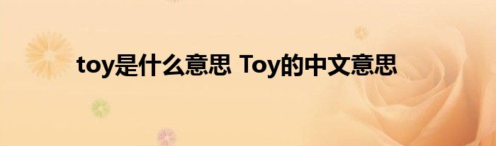 toy是什么意思 Toy的中文意思