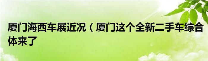 厦门海西车展近况（厦门这个全新二手车综合体来了