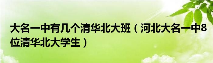 大名一中有几个清华北大班（河北大名一中8位清华北大学生）