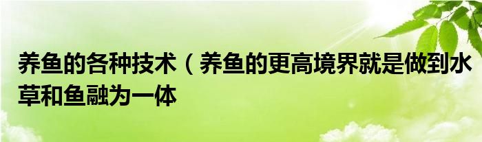 养鱼的各种技术（养鱼的更高境界就是做到水草和鱼融为一体