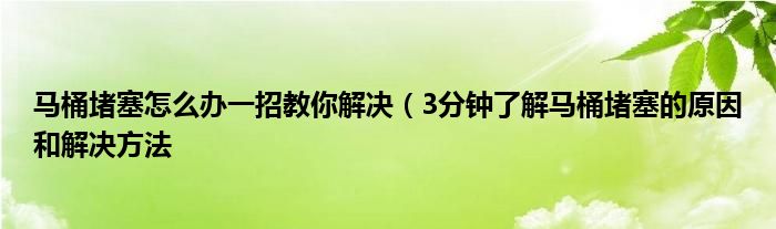 马桶堵塞怎么办一招教你解决（3分钟了解马桶堵塞的原因和解决方法