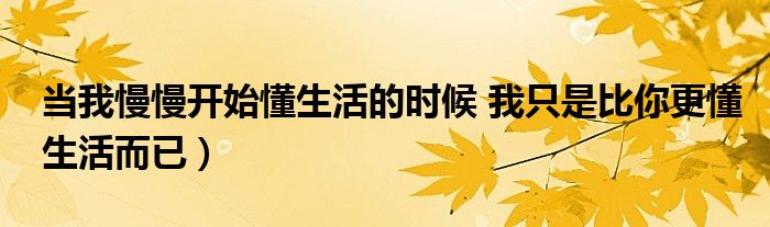 当我慢慢开始懂生活的时候 我只是比你更懂生活而已）