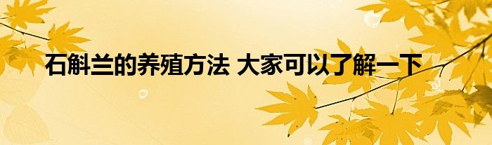 石斛兰的养殖方法 大家可以了解一下