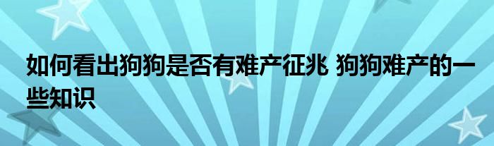 如何看出狗狗是否有难产征兆 狗狗难产的一些知识