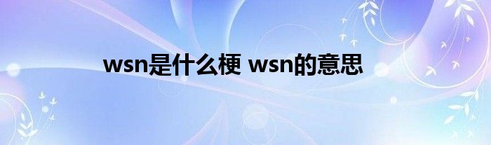 wsn是什么梗 wsn的意思