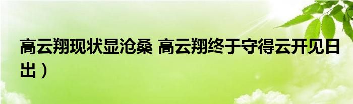 高云翔现状显沧桑 高云翔终于守得云开见日出）