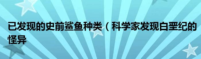 已发现的史前鲨鱼种类（科学家发现白垩纪的怪异