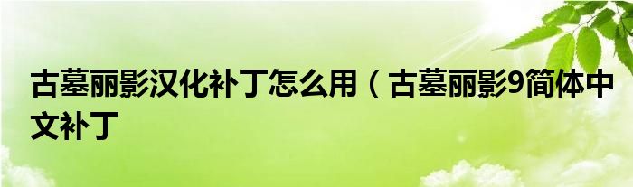 古墓丽影汉化补丁怎么用（古墓丽影9简体中文补丁