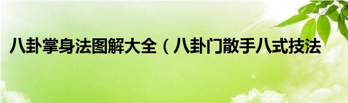 八卦掌身法图解大全（八卦门散手八式技法