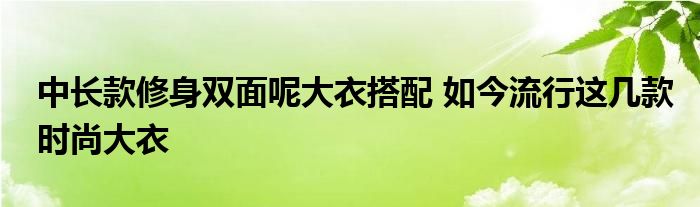 中长款修身双面呢大衣搭配 如今流行这几款时尚大衣