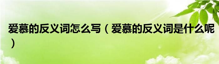 爱慕的反义词怎么写（爱慕的反义词是什么呢）