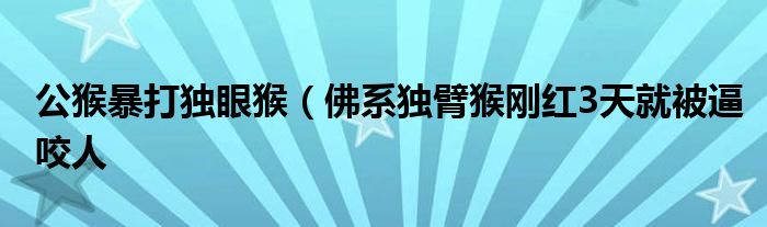 公猴暴打独眼猴（佛系独臂猴刚红3天就被逼咬人