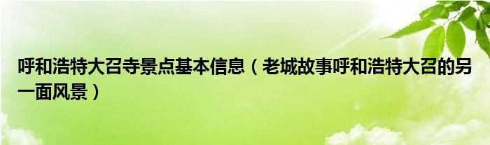 呼和浩特大召寺景点基本信息（老城故事呼和浩特大召的另一面风景）