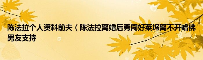 陈法拉个人资料前夫（陈法拉离婚后勇闯好莱坞离不开哈佛男友支持