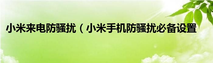 小米来电防骚扰（小米手机防骚扰必备设置