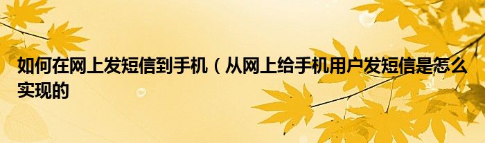 如何在网上发短信到手机（从网上给手机用户发短信是怎么实现的