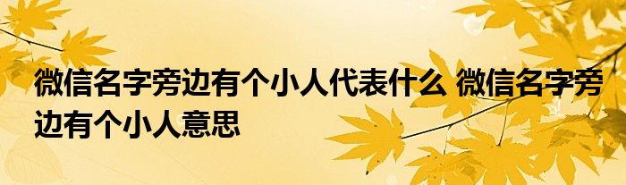 微信名字旁边有个小人代表什么 微信名字旁边有个小人意思