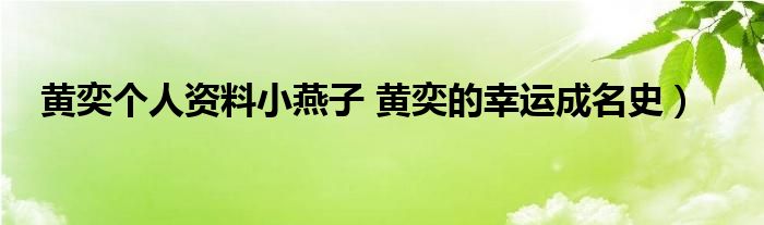 黄奕个人资料小燕子 黄奕的幸运成名史）