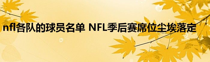 nfl各队的球员名单 NFL季后赛席位尘埃落定