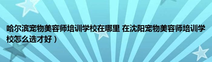 哈尔滨宠物美容师培训学校在哪里 在沈阳宠物美容师培训学校怎么选才好）