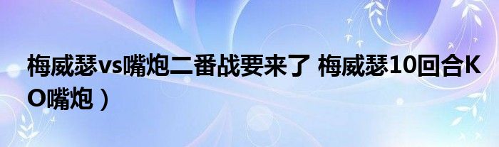 梅威瑟vs嘴炮二番战要来了 梅威瑟10回合KO嘴炮）