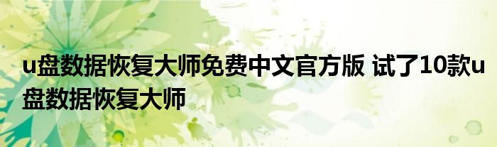 u盘数据恢复大师免费中文官方版 试了10款u盘数据恢复大师