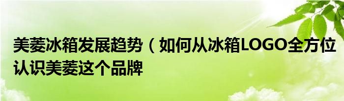 美菱冰箱发展趋势（如何从冰箱LOGO全方位认识美菱这个品牌