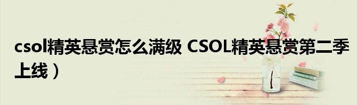 csol精英悬赏怎么满级 CSOL精英悬赏第二季上线）